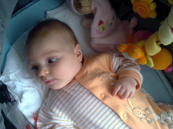 czikoramilla: 20091123727
