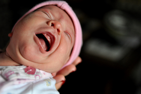 baowah: pulyabog baowah: pulyabog