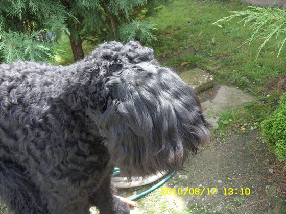 9002003_20c18e11fad87b48181566f61f5f349b_m.jpg