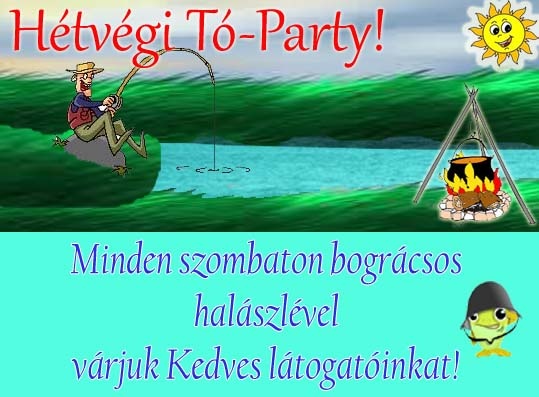 Tóparty