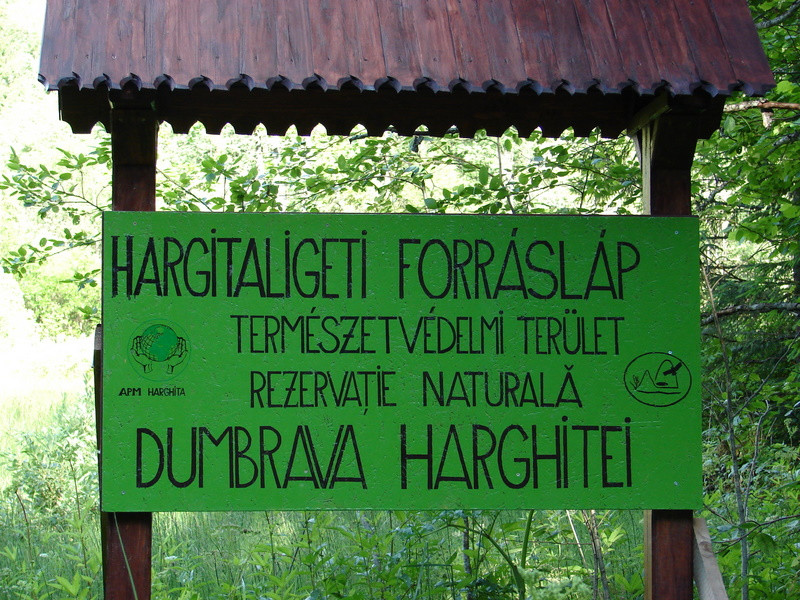 Hargitaligeti forrásláp