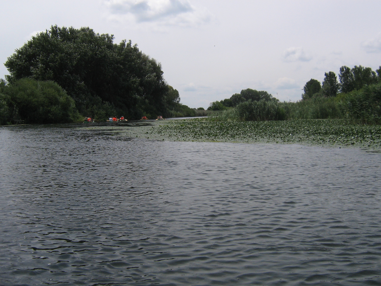 Ferenc csatorna 2009.07.11. 028