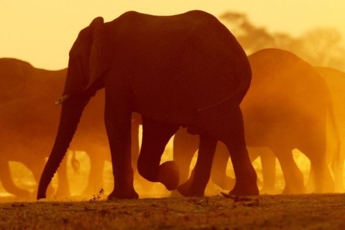 sunsets africa michael poliza 02-500x334