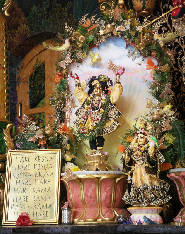 gaurapurnima01