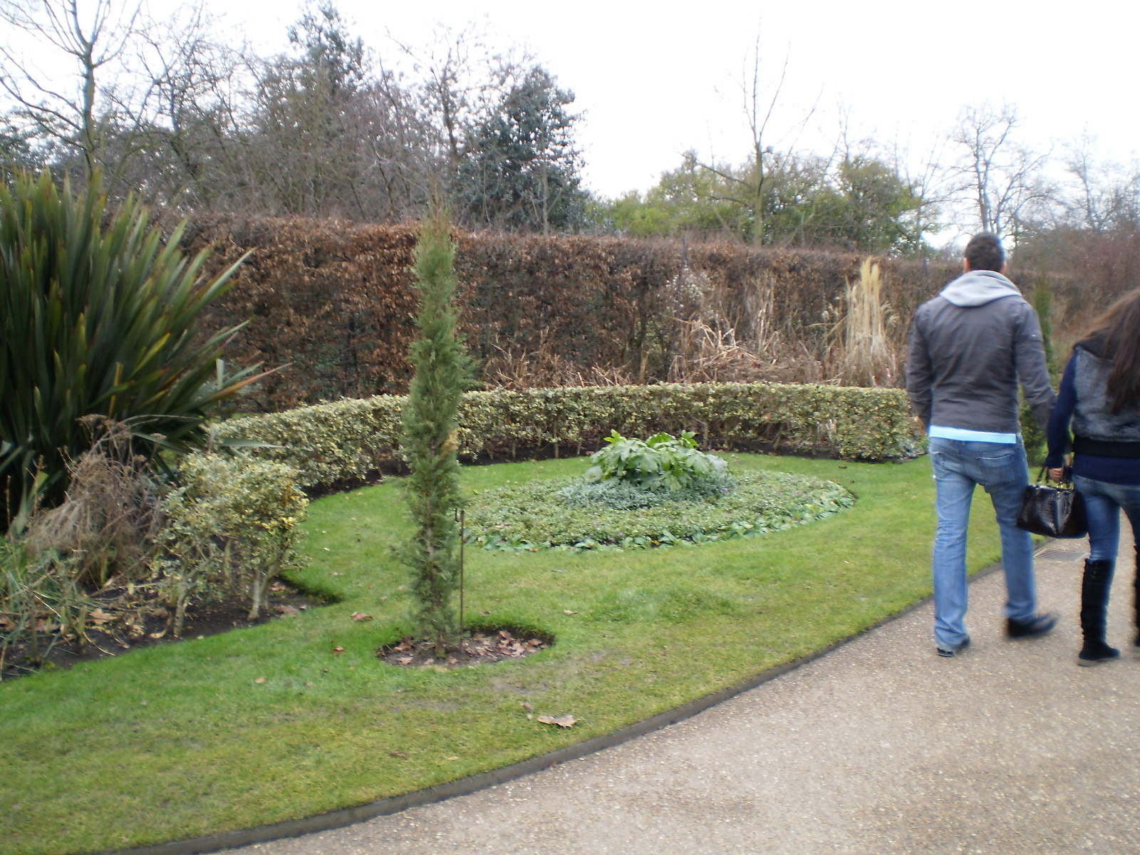 Regent's Park 2010 január