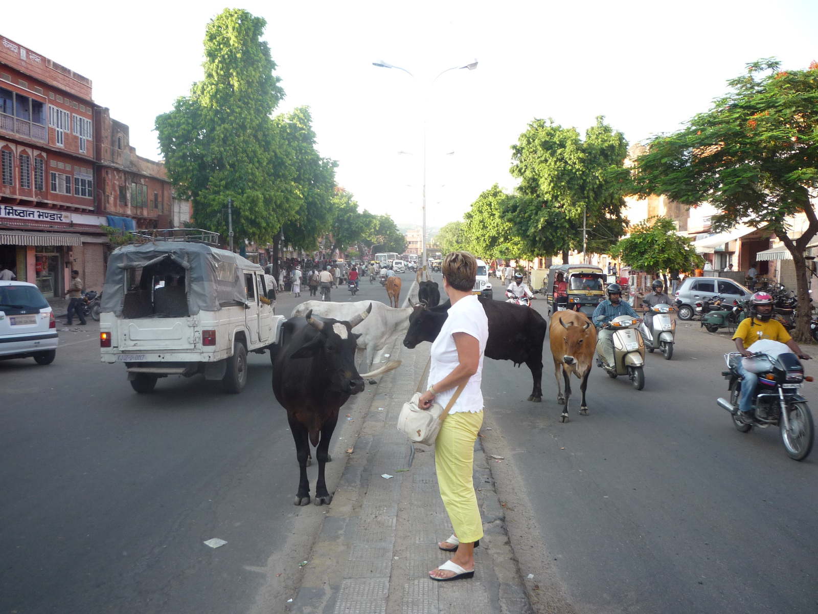 Jaipur India