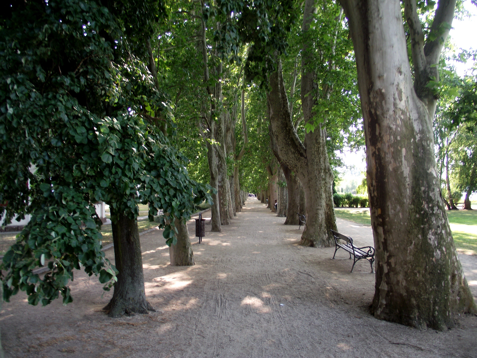 Siófok 2011 06 13-14 017