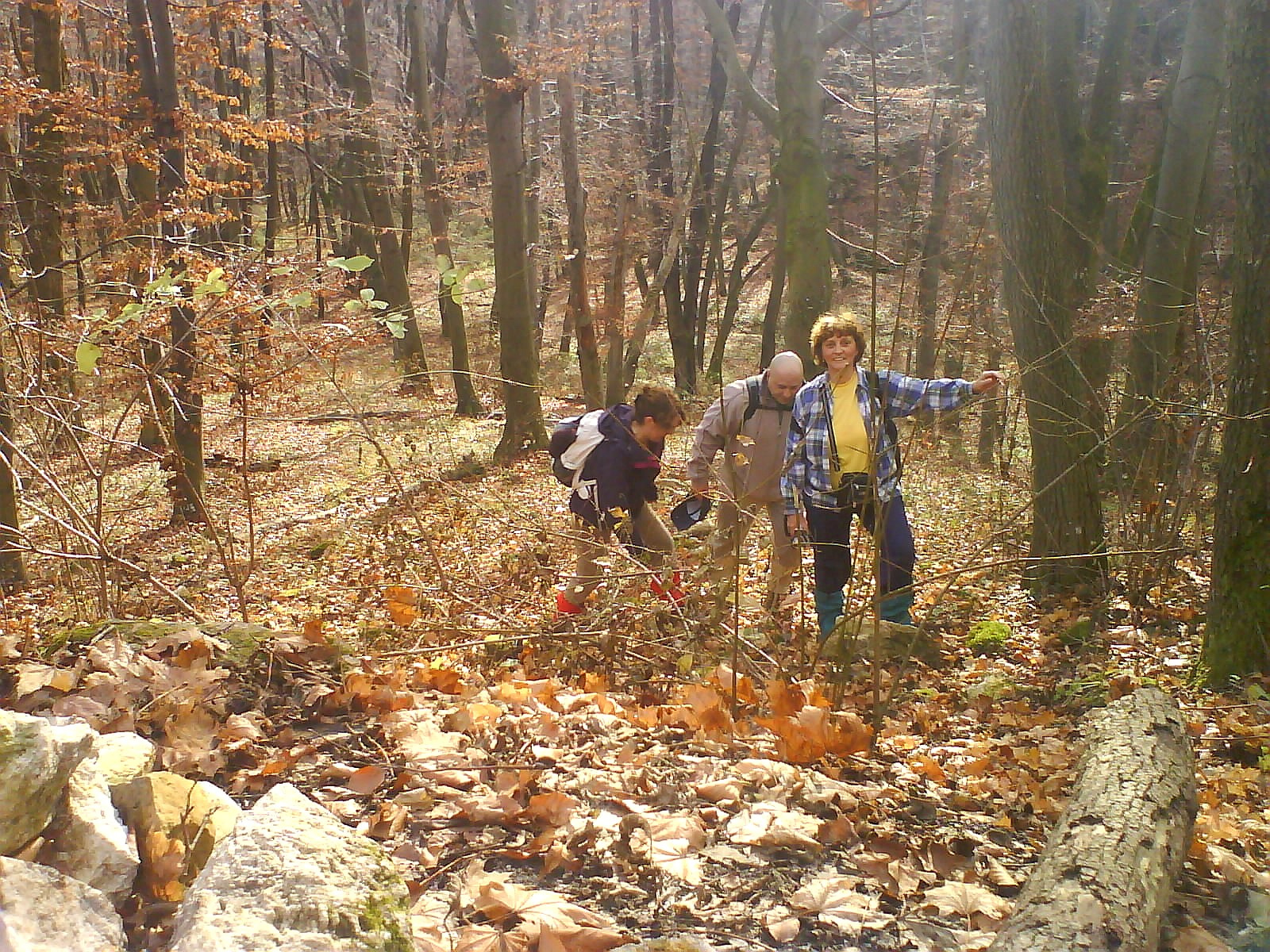 11.00Eszter, Zsolt, Emőke