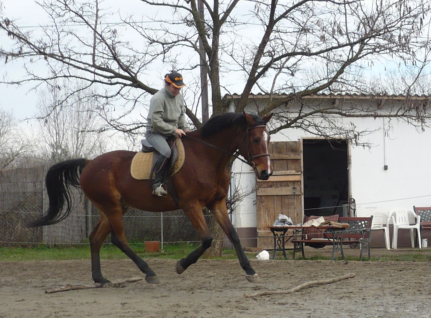 titán20101121