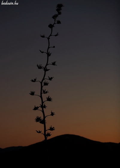 Before it gets dark - Hierve de Agua, Mexico, 2007