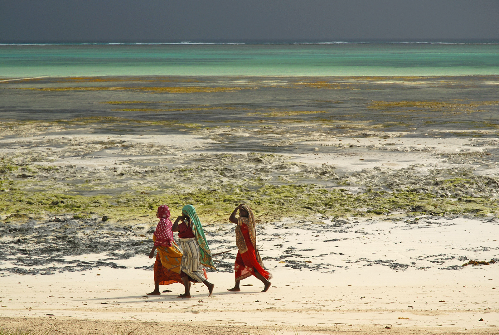 Zanzibar low tide