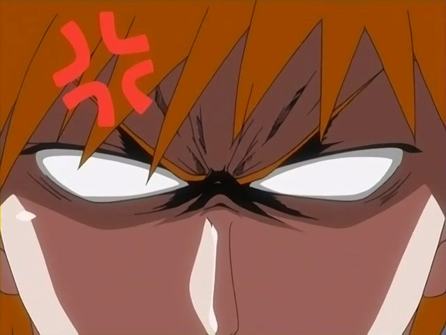 bleach ichigo0609