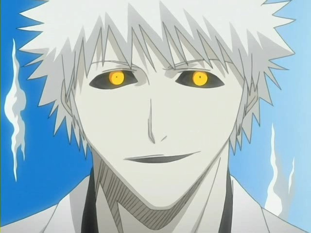 bleach ichigo1075