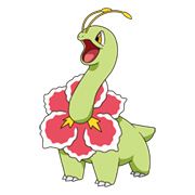 Meganium3