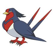 Swellow126