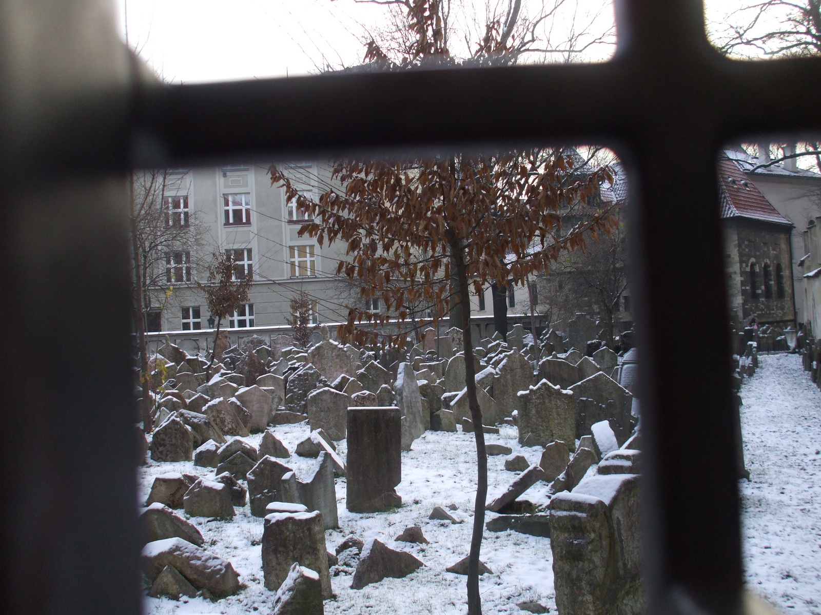 Belátás a régi zsidó temetőbe