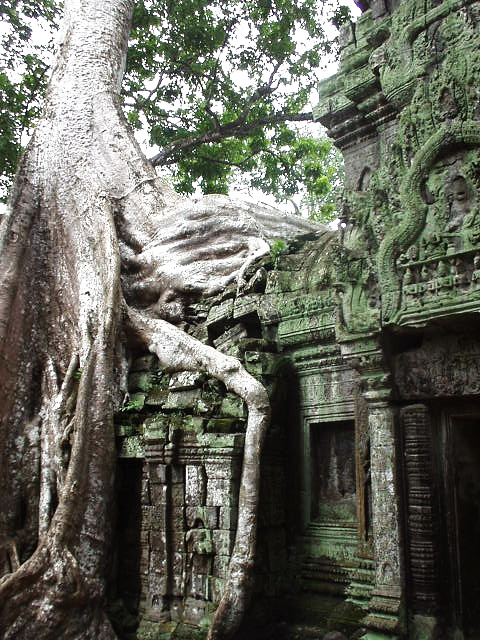 Angkor