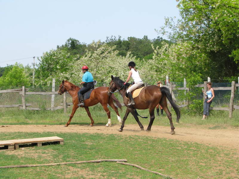 Osztály011