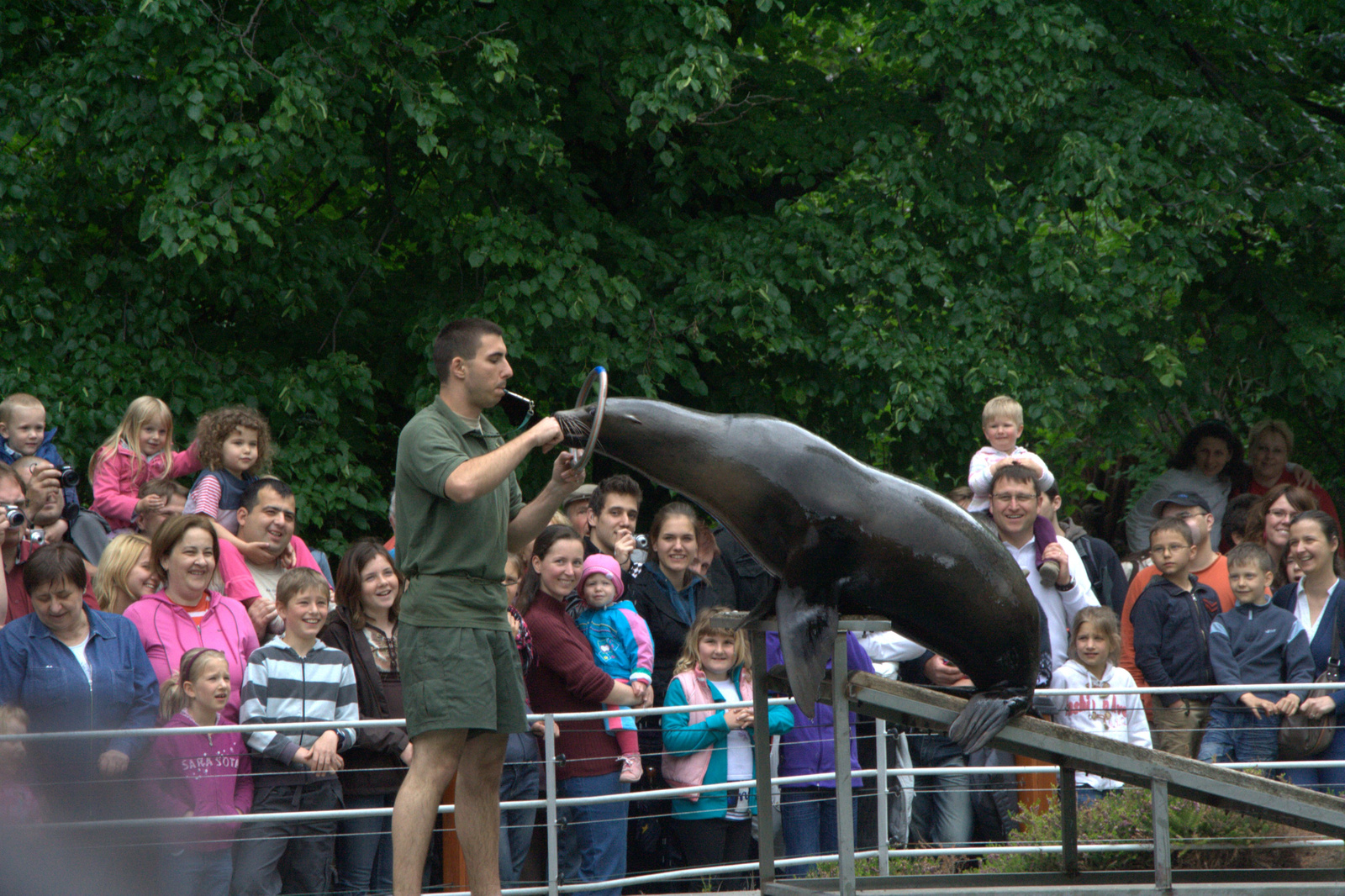 2011.Budapesti állatkert156
