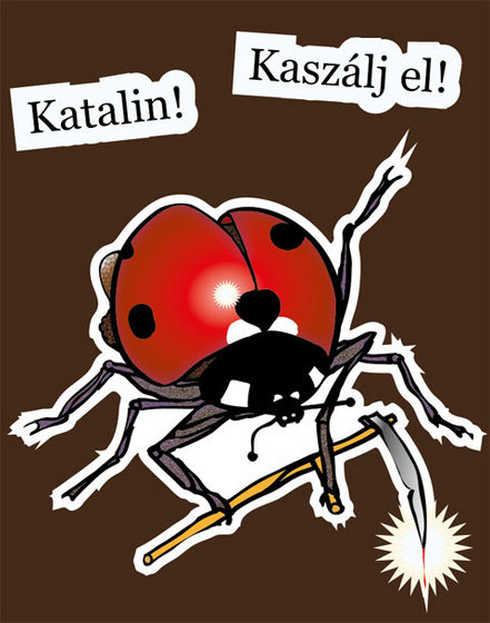 Katalin! Kaszálj el!