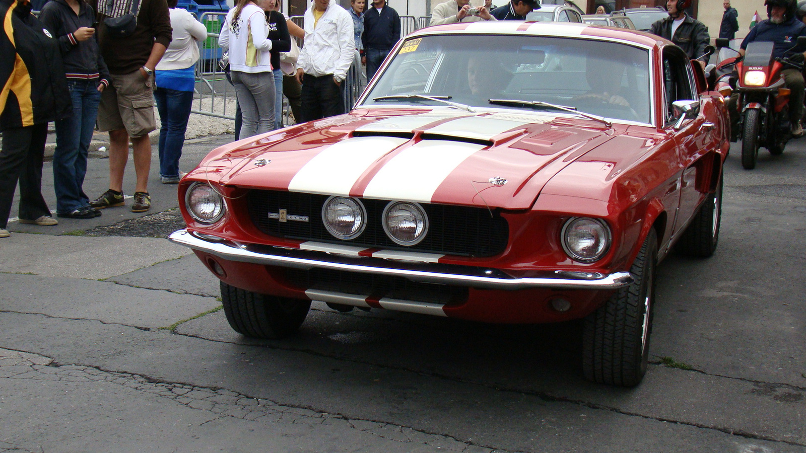 Shelby GT500 (1)