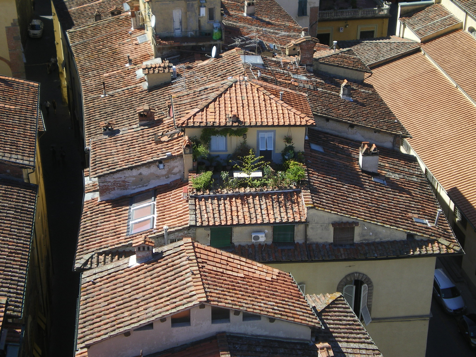 Lucca