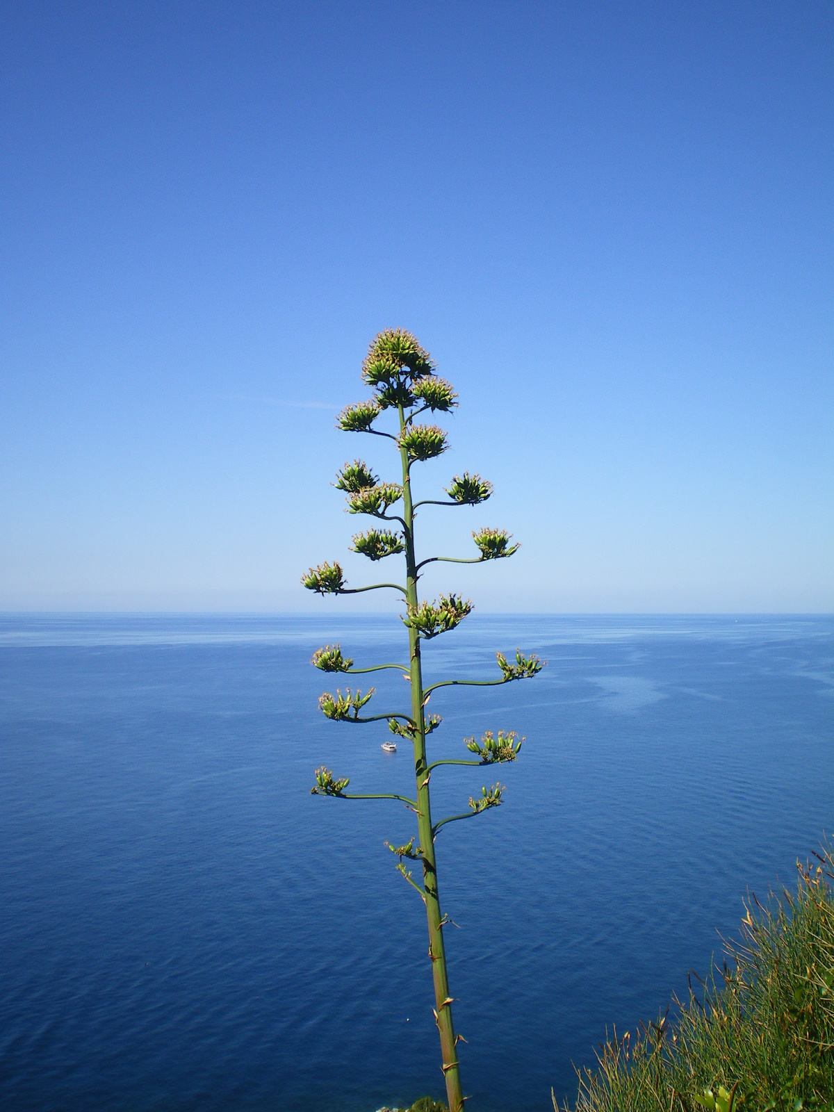 Cinque Terre