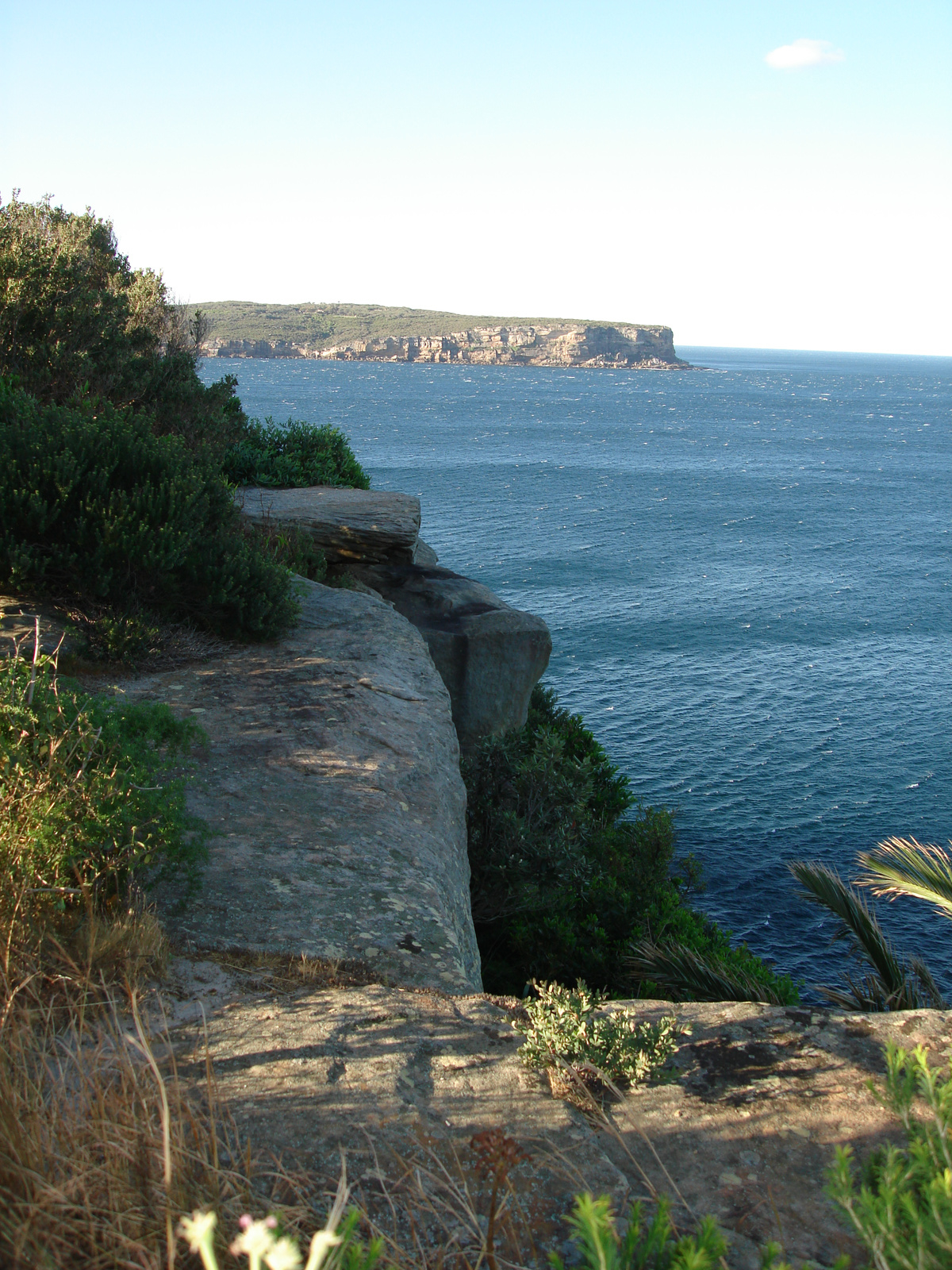 Watsons Bay:)