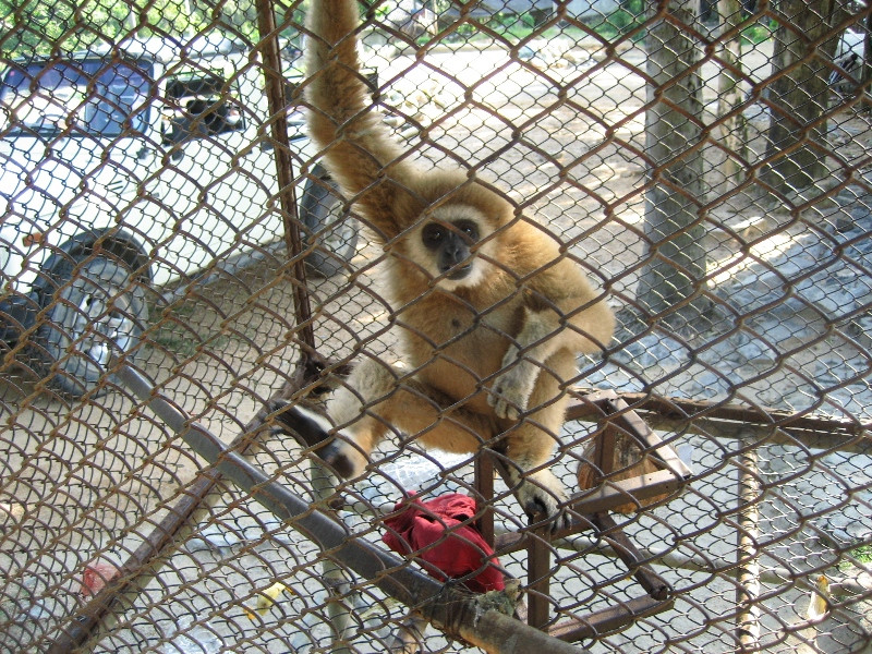 Koh-Samui