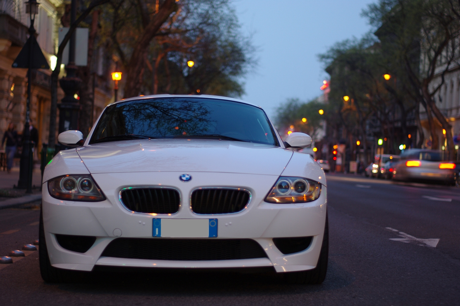 BMW Z4 M (5)