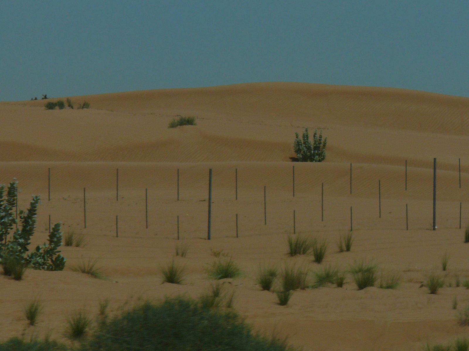 Dubai - Sivatag, az autópálya mellett