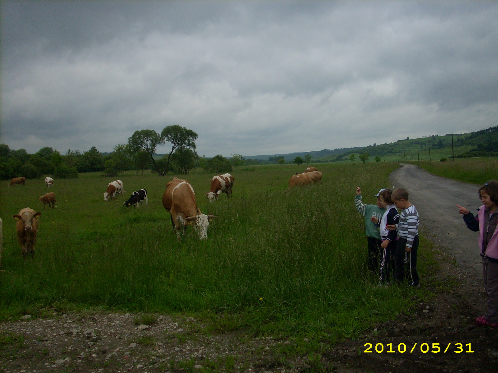 2010 Kelecsény 059