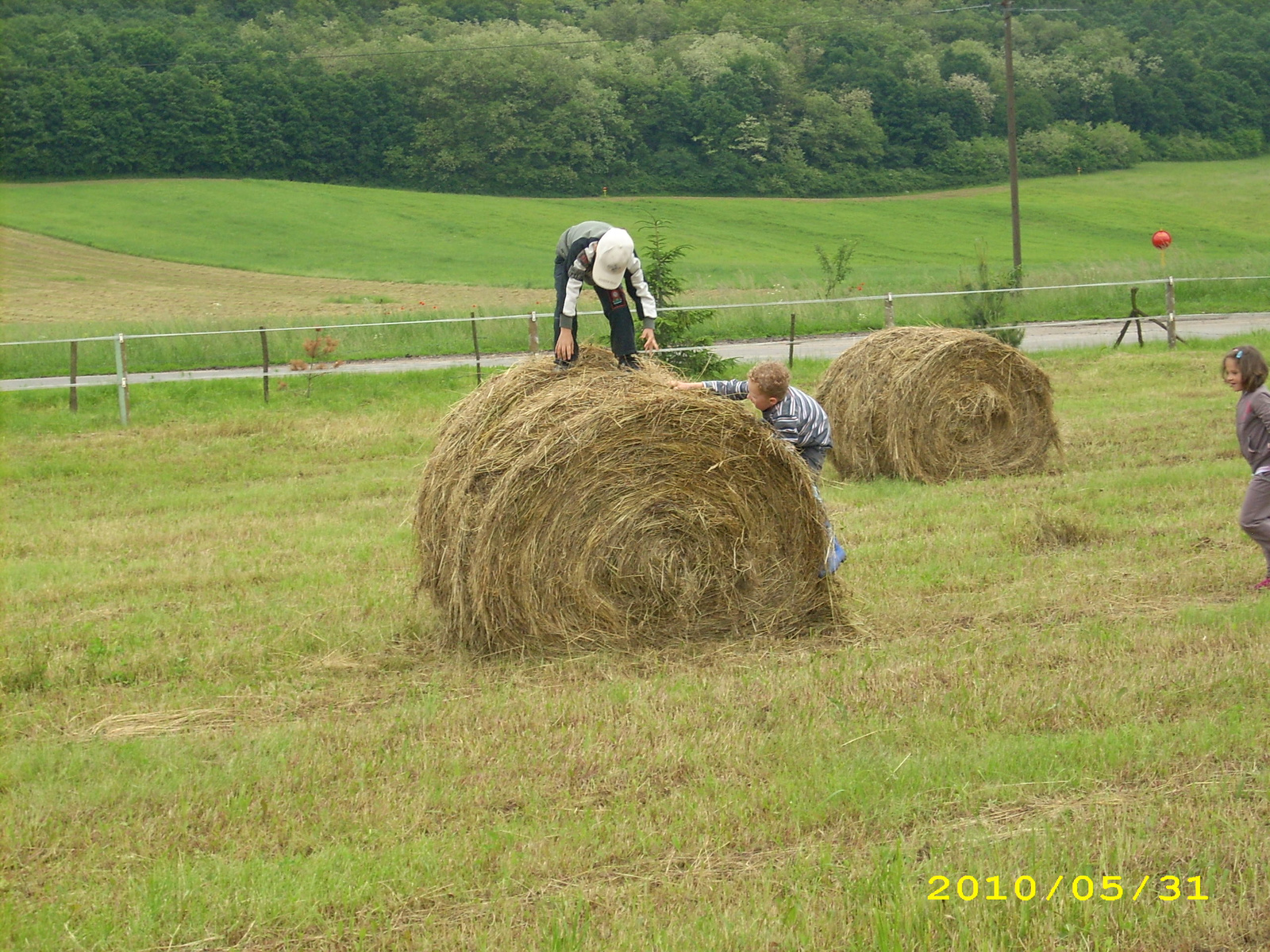 2010 Kelecsény 120