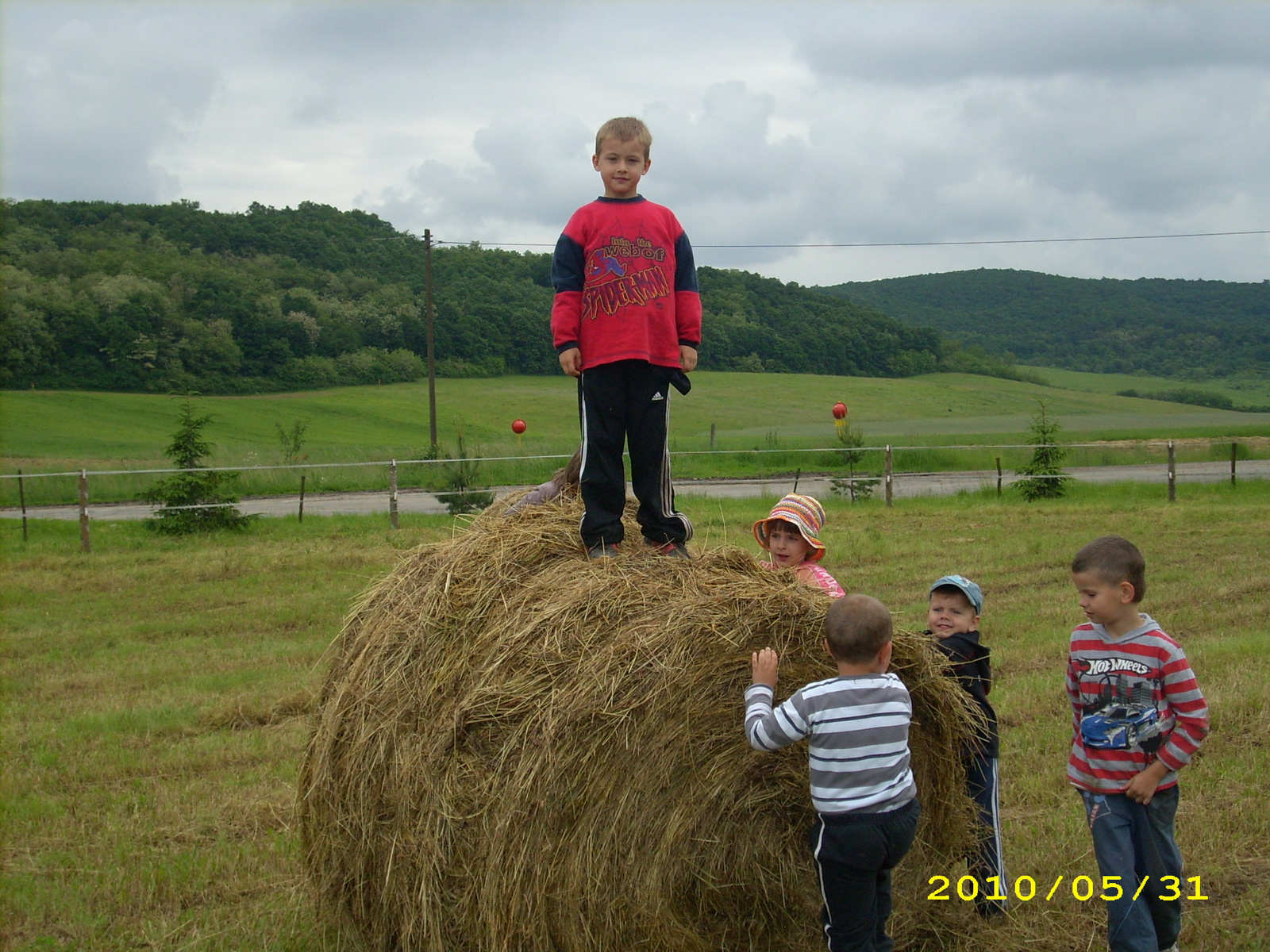 2010 Kelecsény 123