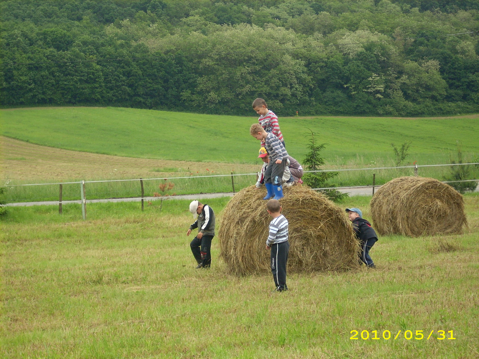 2010 Kelecsény 129