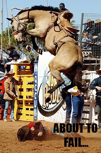 bronc2