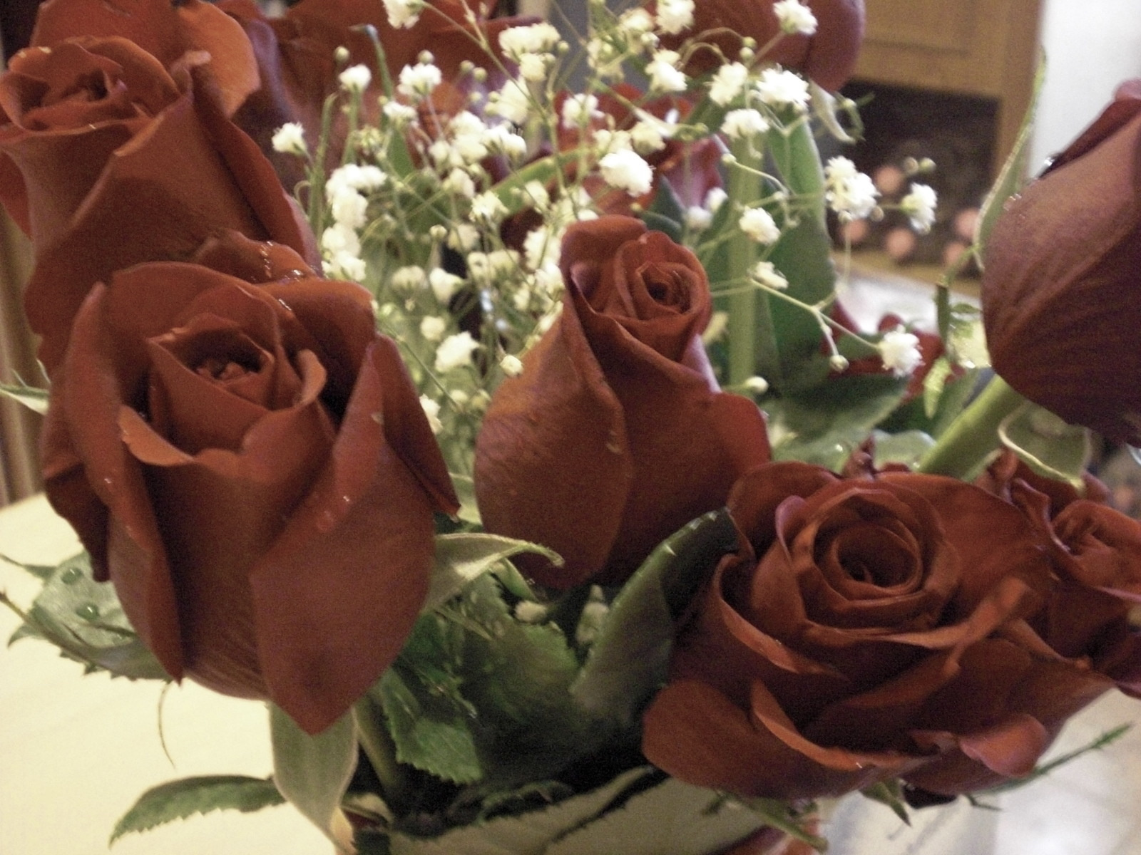 roses from my love 059