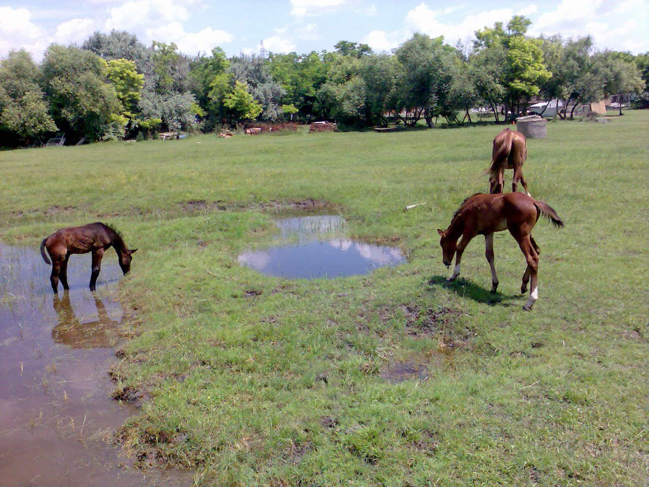 201007 Tábor046