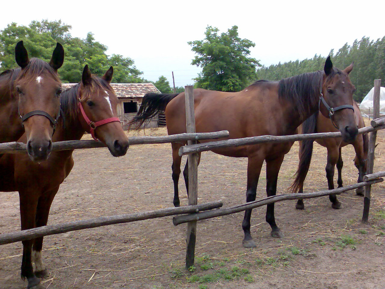 201007 Tábor075