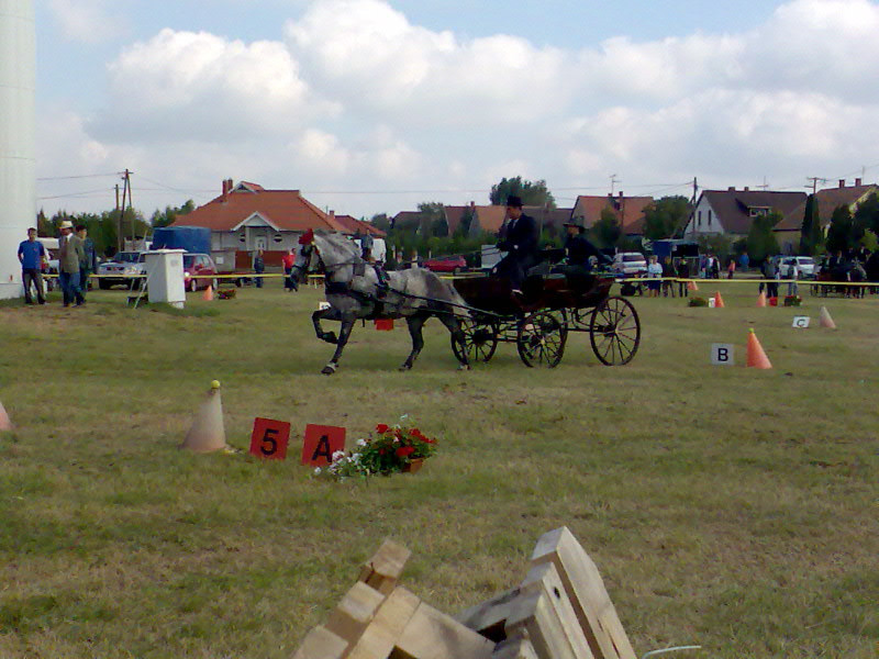 20100905002 Tombácz