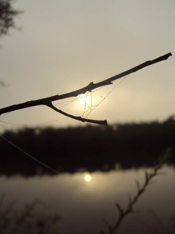 napfelkelte a folyó ködje felett