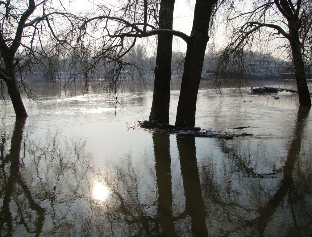 Árad a Tisza