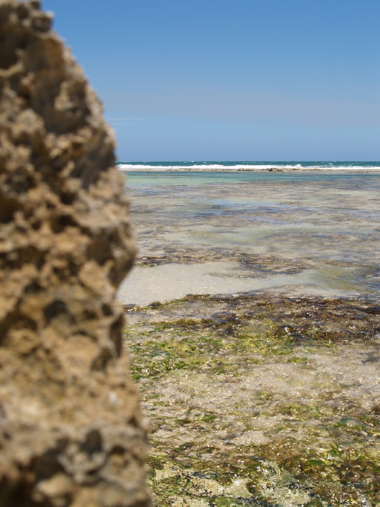 Yanchep Lagoon 22