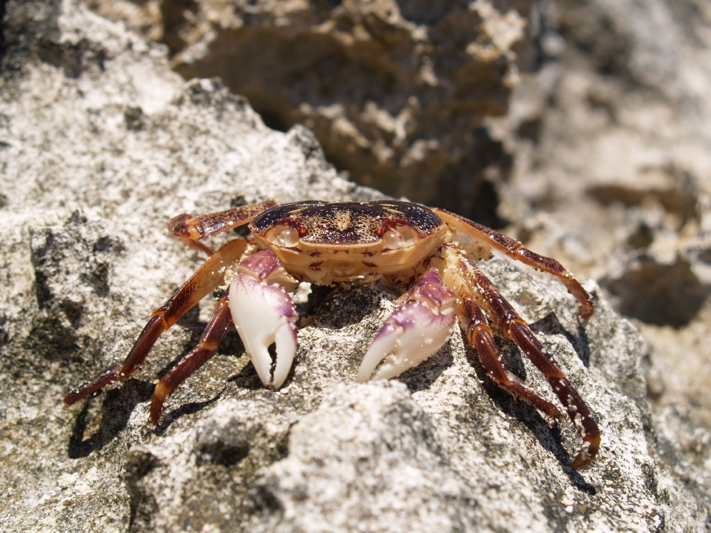 Yanchep Lagoon 23