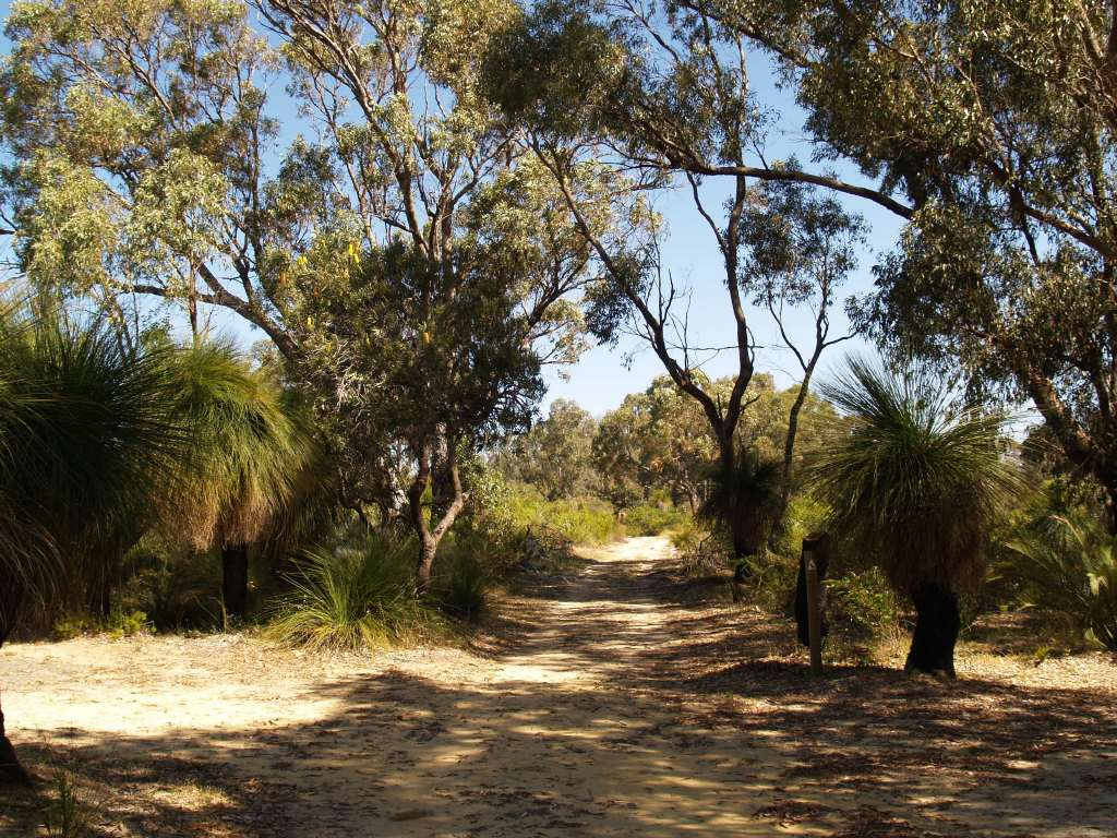 Yanchep National Park 35