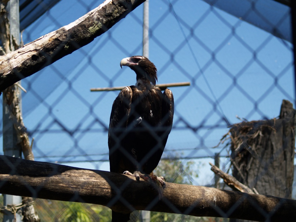 Caversham Wildlife Park Sas