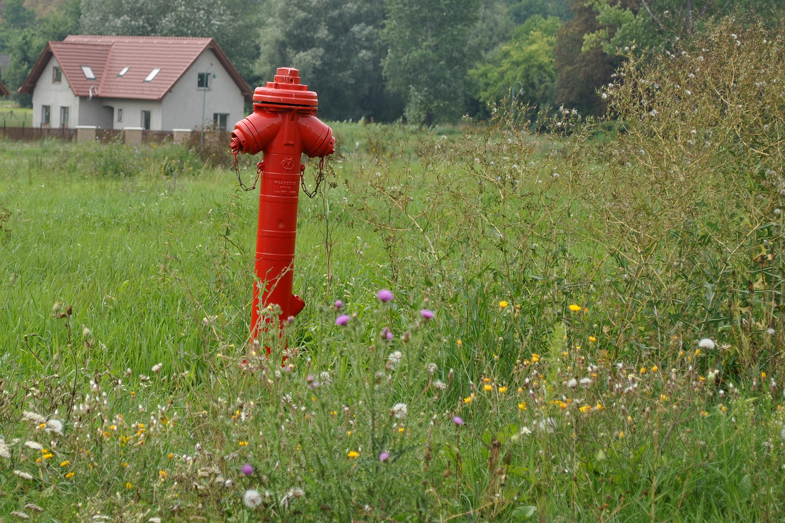 Biztonságosan