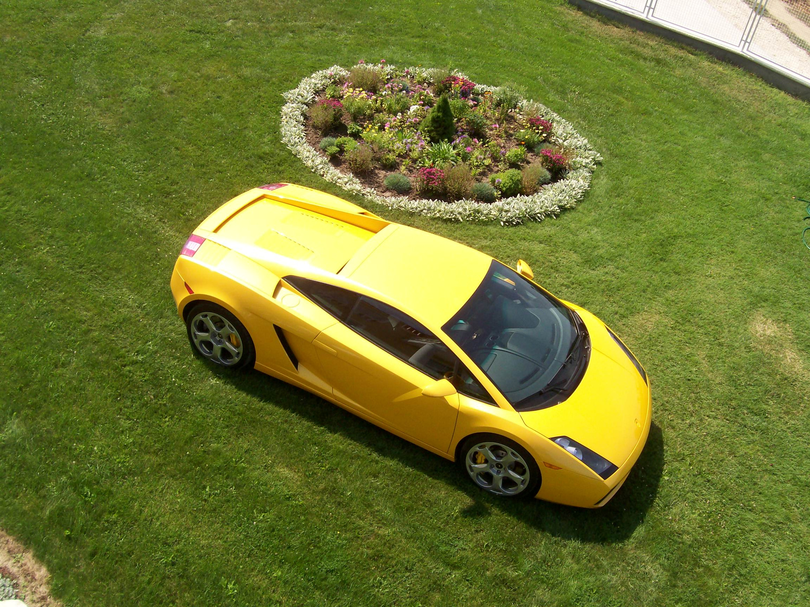 LAMBO GALLARDO 6