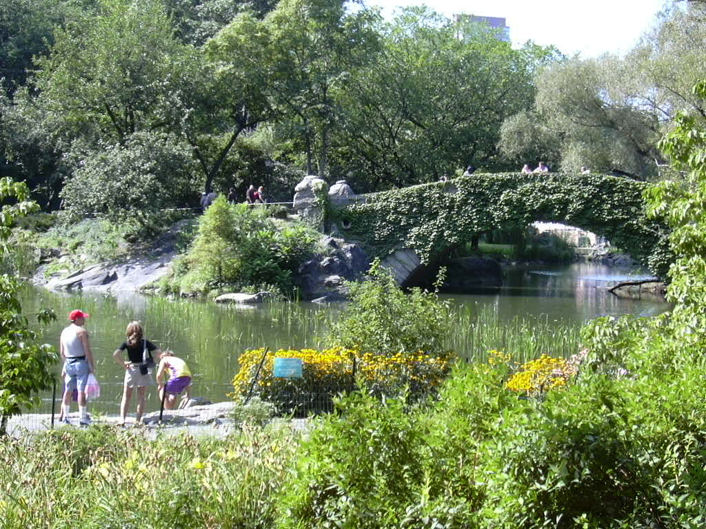 431 Central Park-The Pond