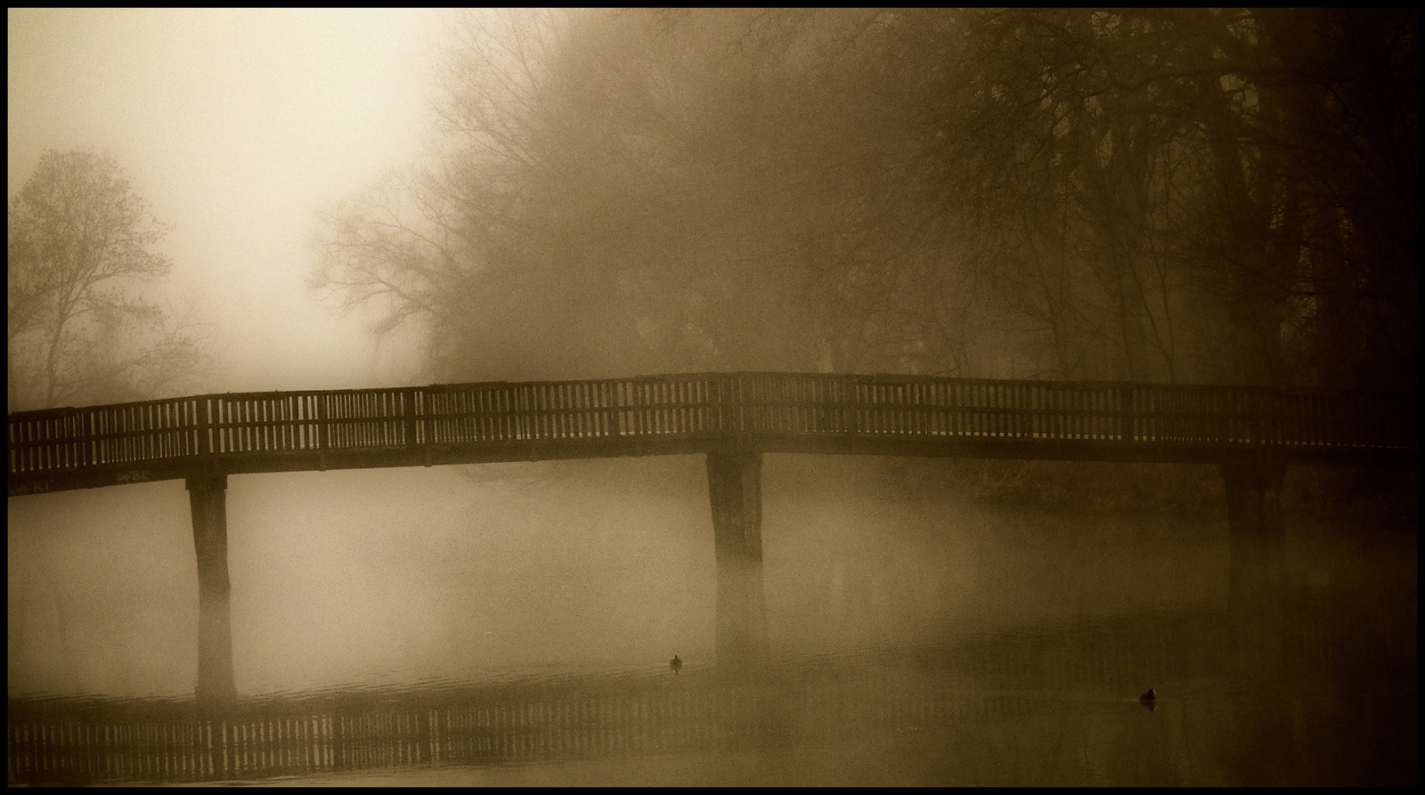 Híd a Ködben